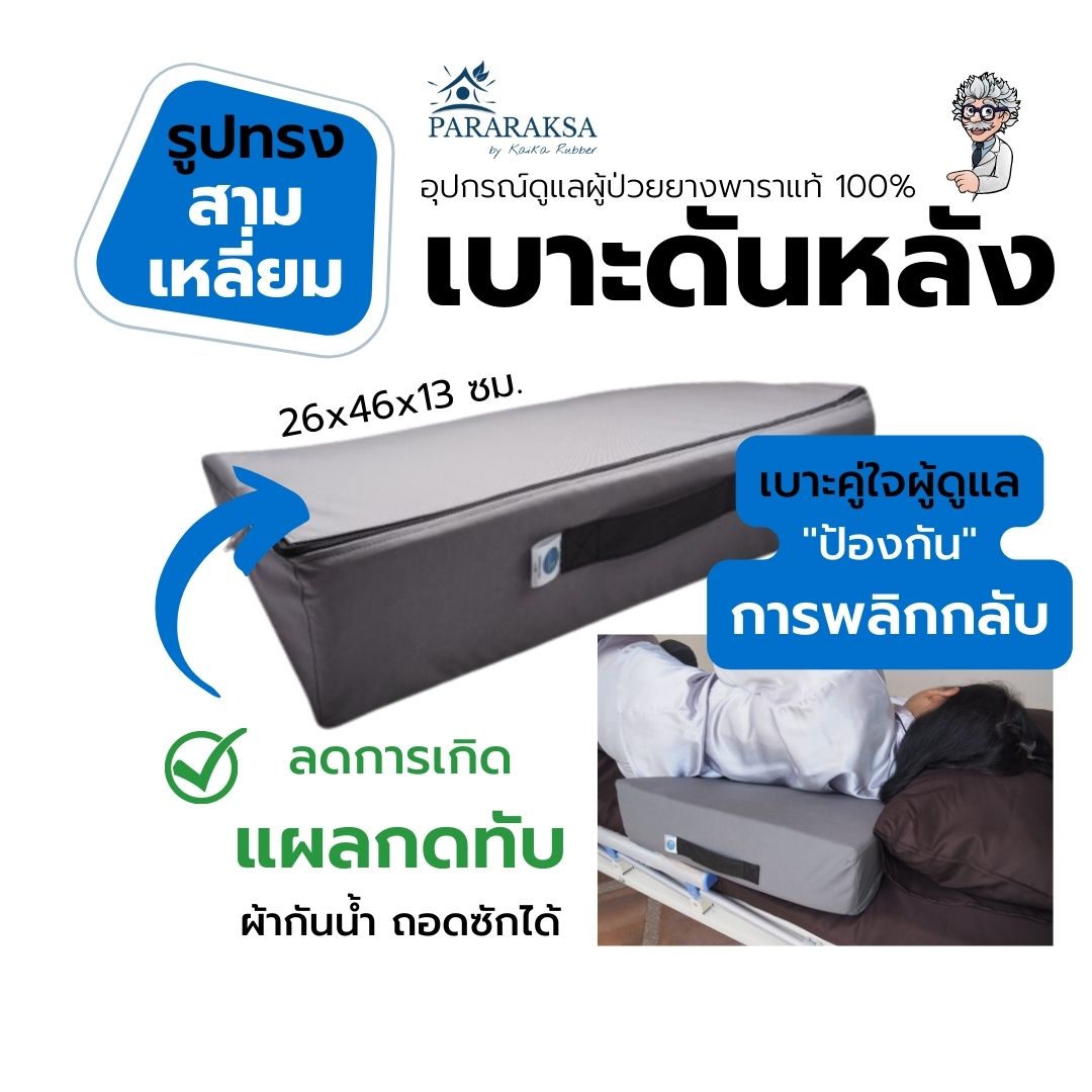 เบาะดันหลังยางพารา Pararaksa