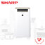 เครื่องฟอกอากาศ Sharp PlasmaCluster 50 ตร.ม. รุ่น KC-G60TA-W