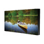 Vertek LED Full Color Display Outdoor P5