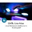 Aputure MC RGBWW LED Light AL-MC รับประกันศูนย์ไทย