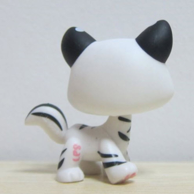 แมว สีขาวลายดำ #1498 (หายาก)