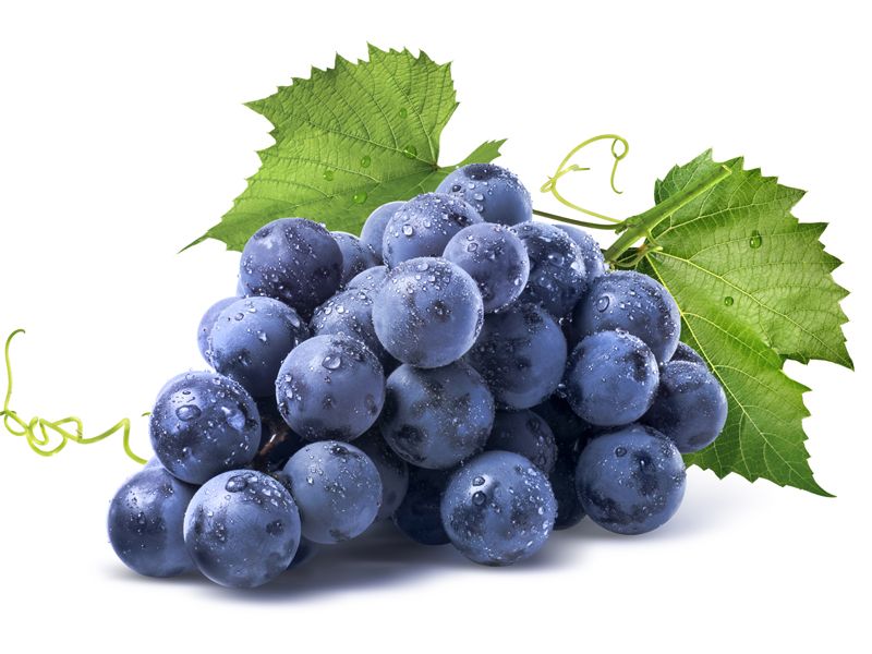 ผงกลิ่นองุ่นเคียวโฮ (Khyho Grape Flavor Powder)