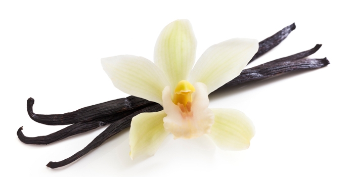 กลิ่นวนิลลา ( Vanilla Flavor )