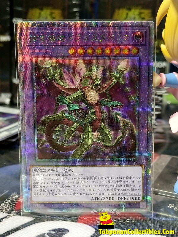 RC04-JP028 "Predaplant Dragostapelia"