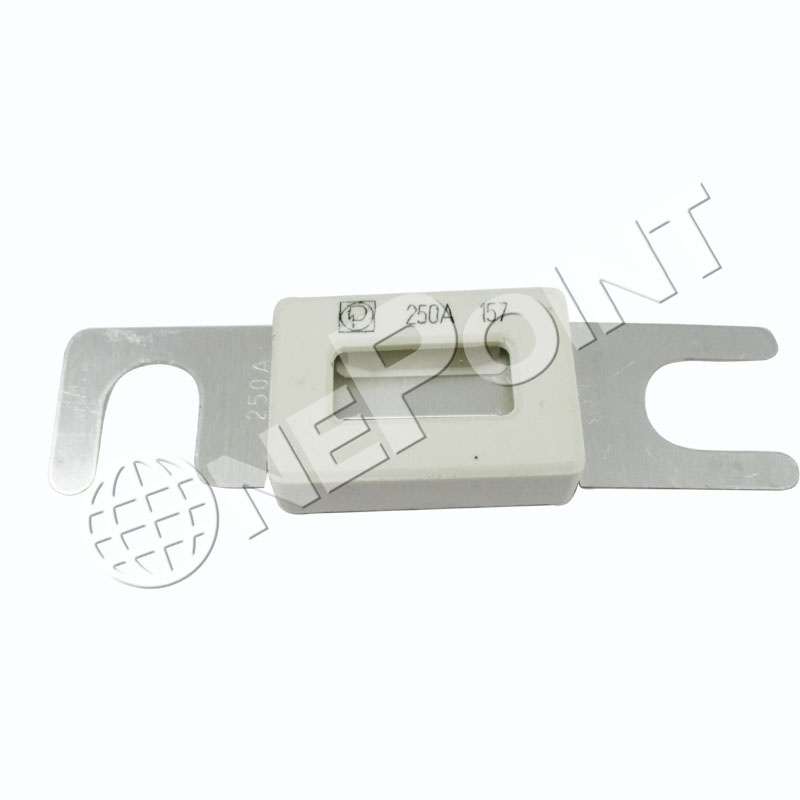 FS00250 PROTECTED FUSE 250A
