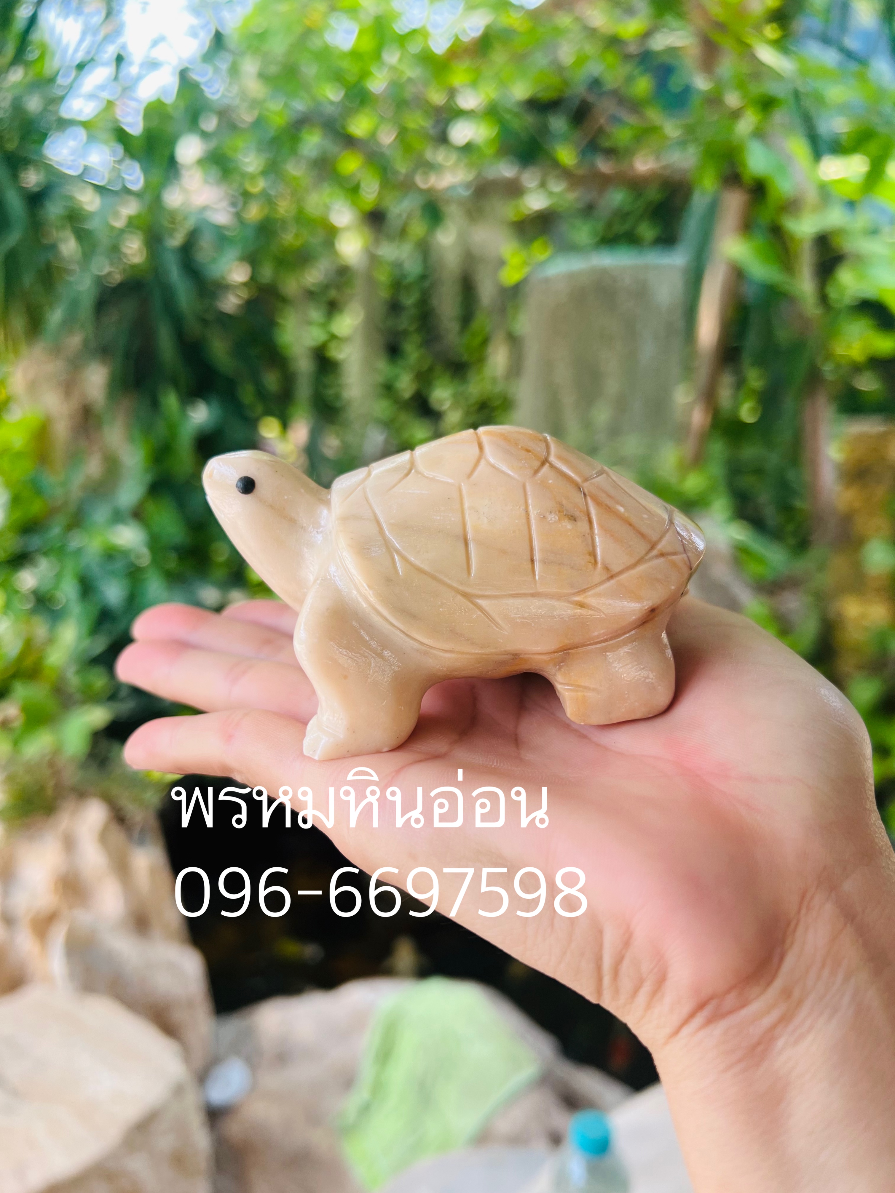เต่าหินอ่อน