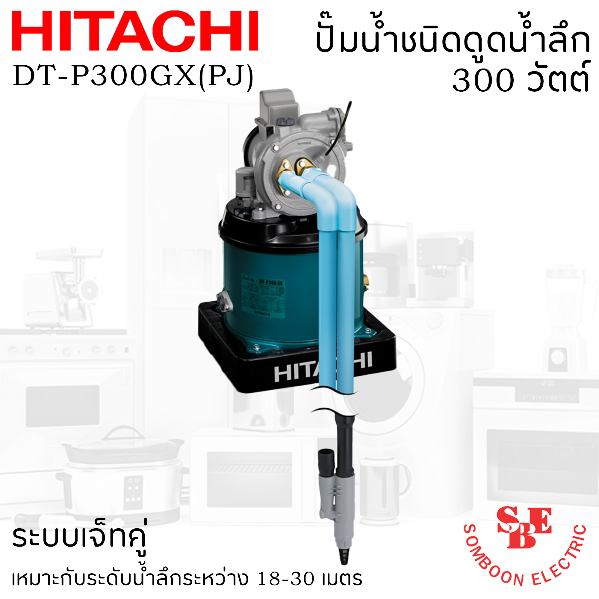 ปั๊มน้ำชนิดดูดน้ำลึก Hitachi 300 วัตต์ รุ่น DT-P300GX(PJ)