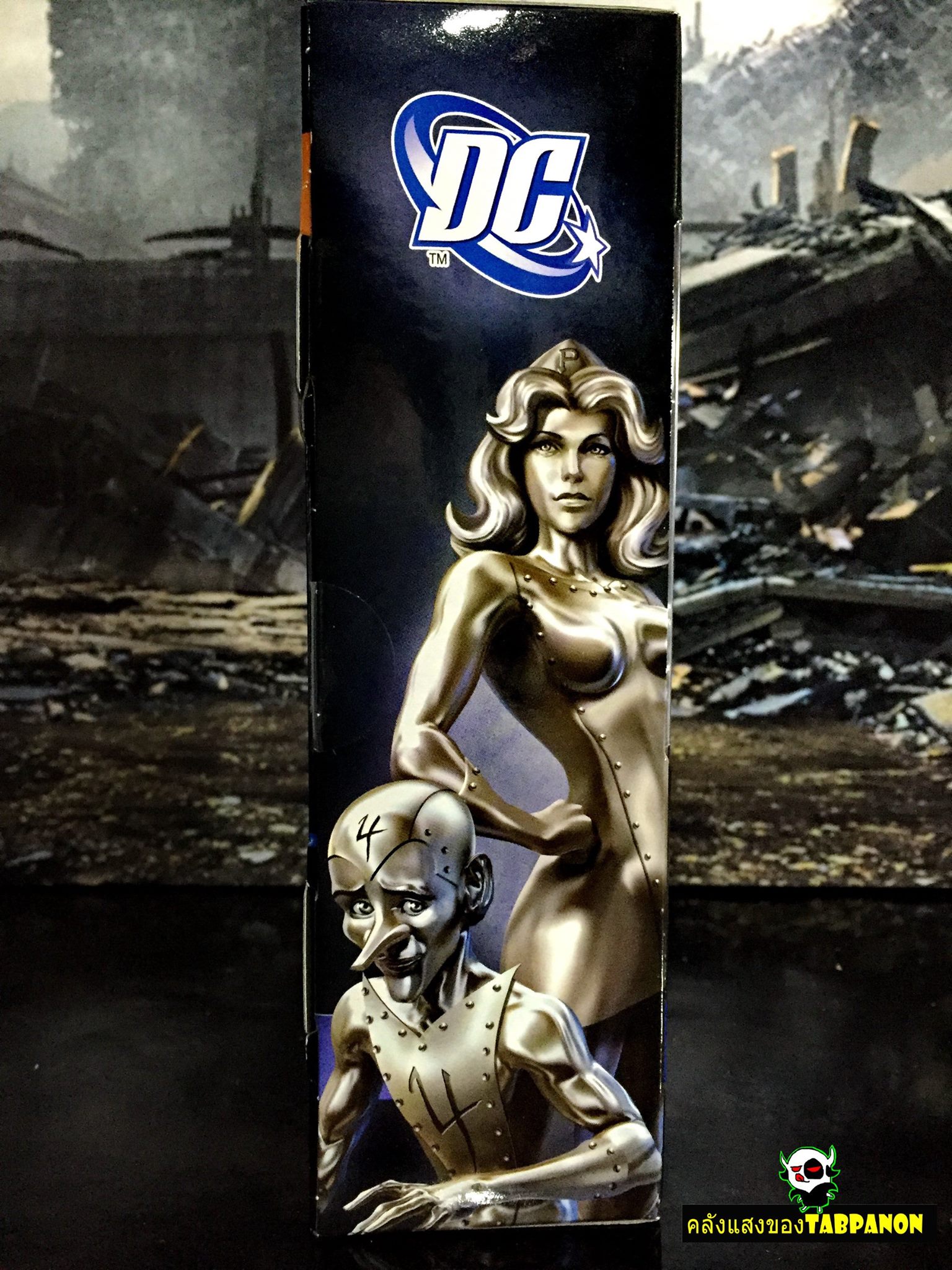 [2012.12] Mattel DC Signature Collection Platinum & Tin