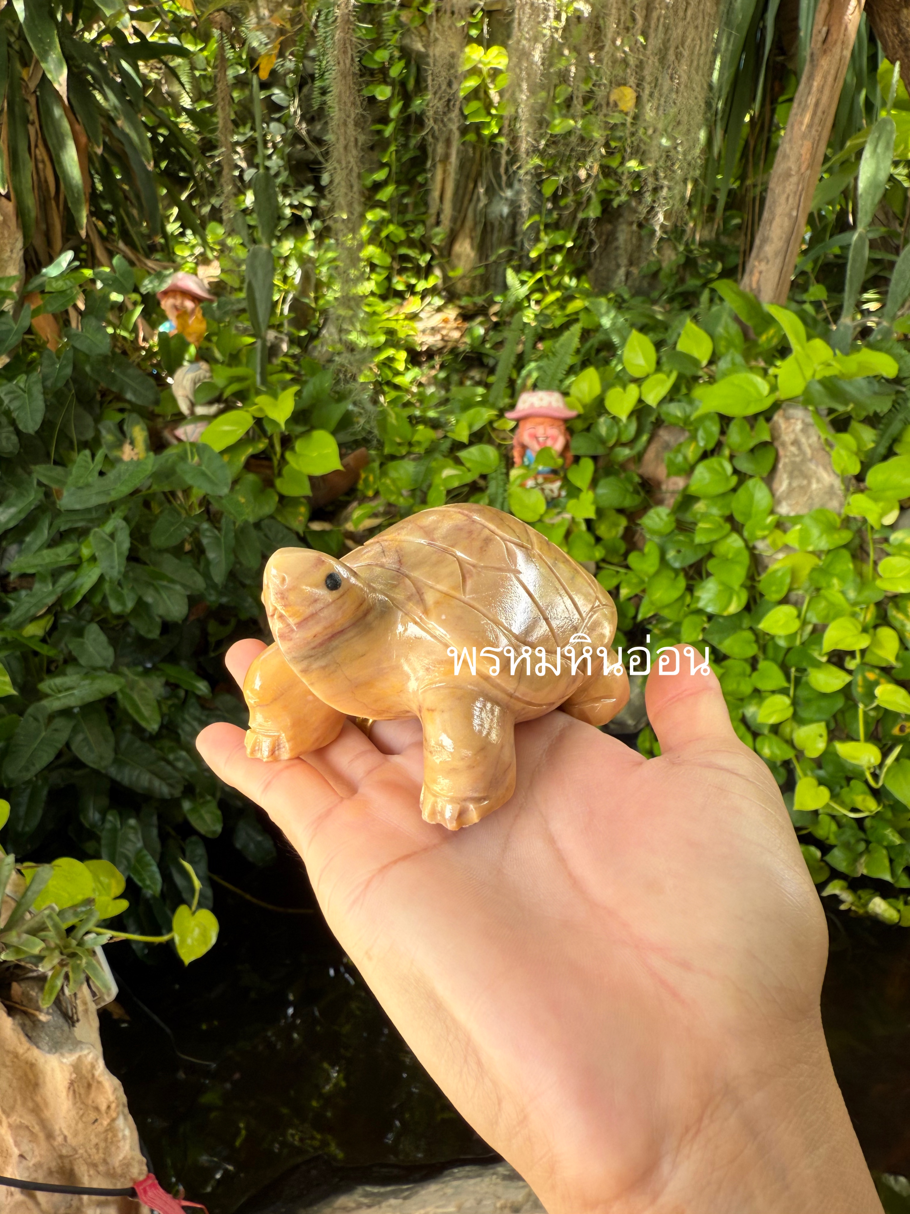 เต่าหินอ่อน