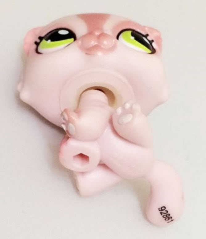 แมวเปอเซีย สีชมพู #1083