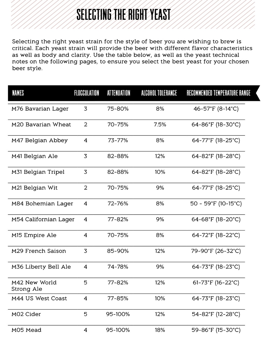 M29 French Saison Ale - 10 กรัม