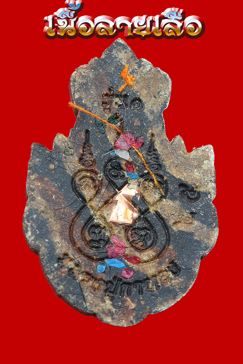 เศียรปู่เสือ หนุนดวง โชคลาภ เนื้อลายเสือ หลวงปู่กาหลง อสโภ วัดน้ำพุสามัคคี