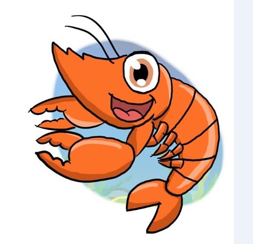 SHRIMP POWDER