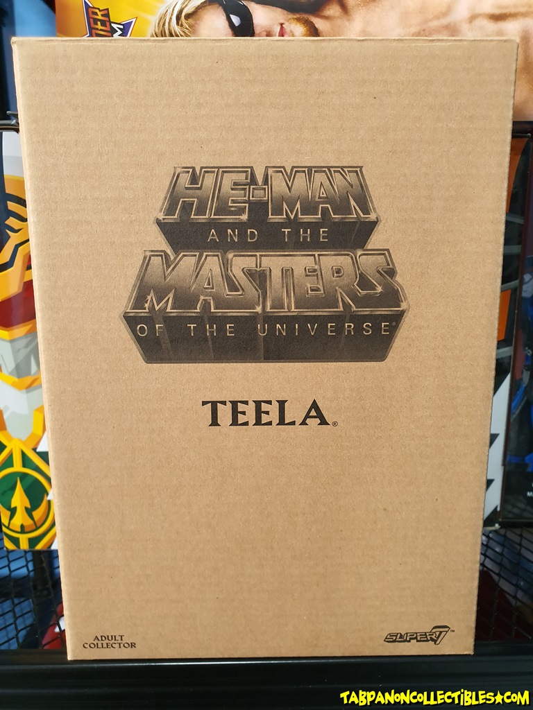 [2018.02] Super7 MOTU Club Grayskull Filmation Teela 7-Inch Figure