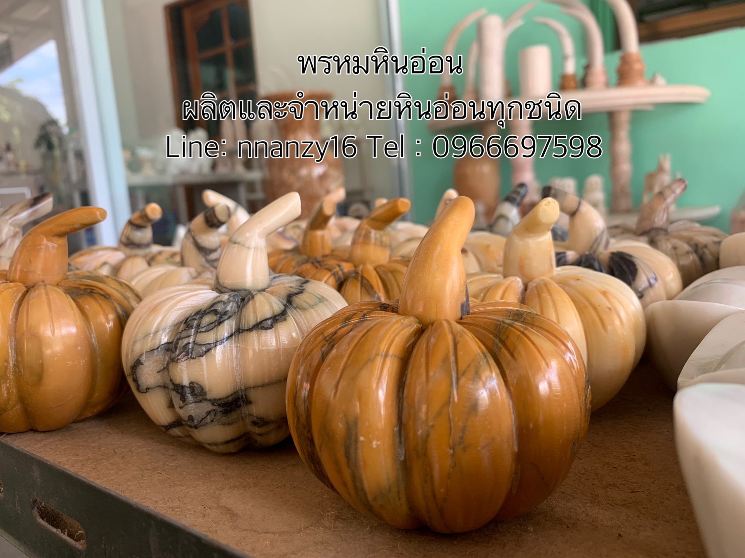 ฟักทองเงิน ฟักทองหินอ่อน
