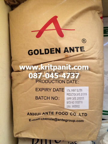 Wheat Gluten วีท กลูเตน
