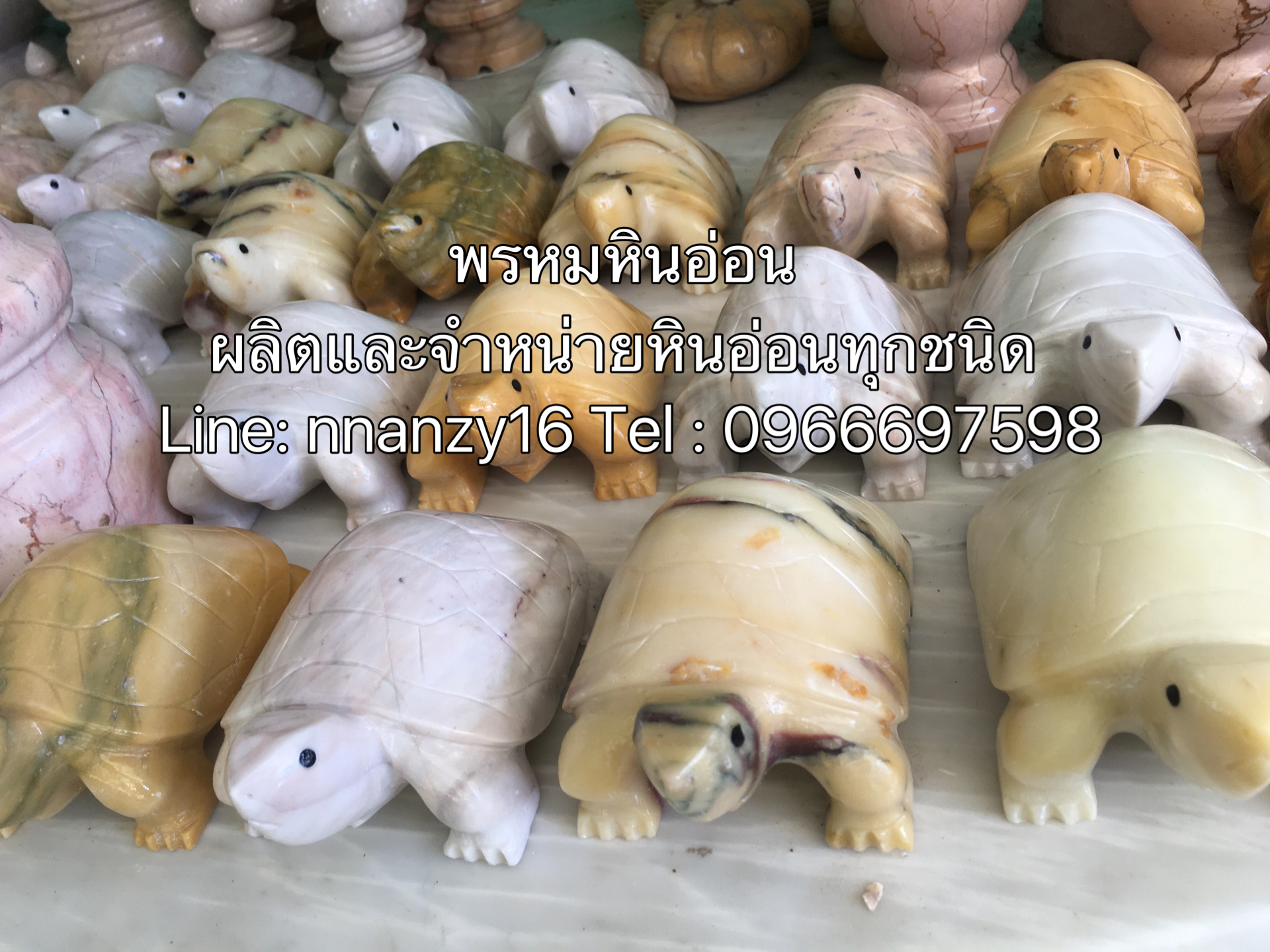 เต่าหินอ่อน