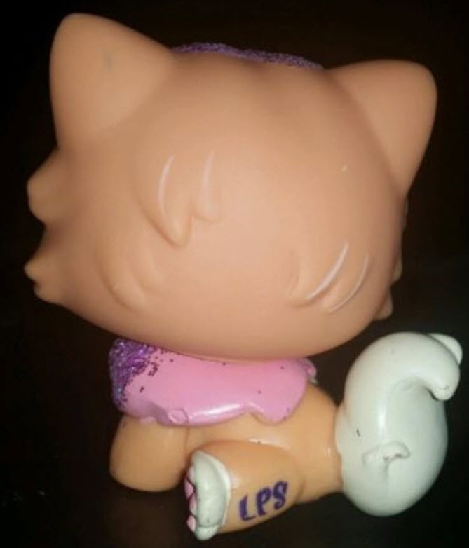 แมวเปอเซีย สีส้ม #2275 แต่งวิ้งค์