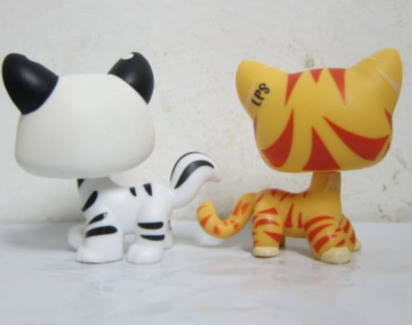 แพ็คคู่แมวลายเสือ ขาว-เหลือง