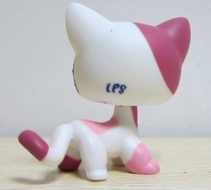 LPS-2291 Siamese cat