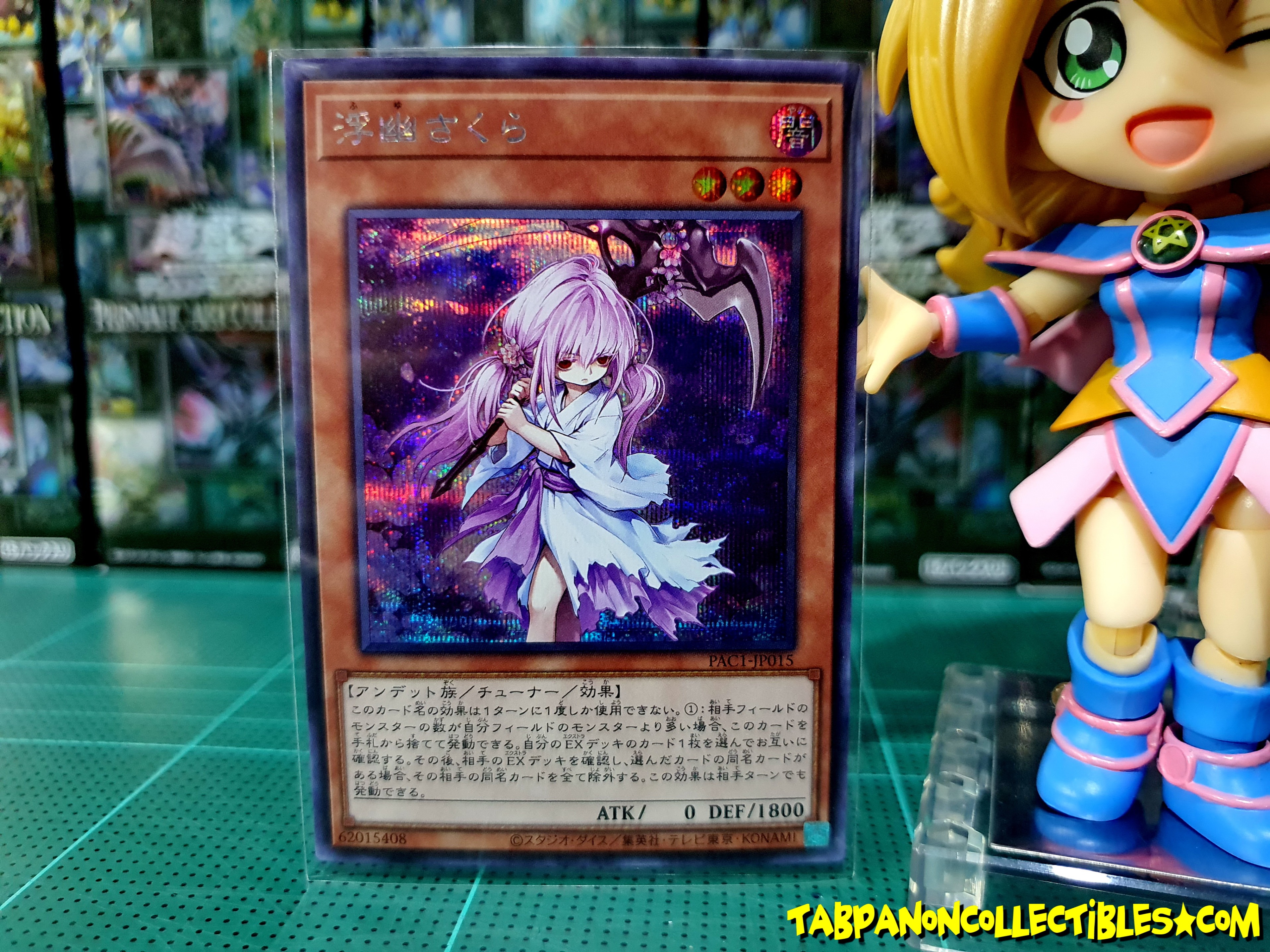 PAC1-JP015 "Ghost Reaper & Winter Cherries"