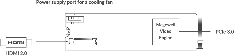 Magewell Eco Capture HDMI 4K Plus M.2 | Single channel 4Kp60 capture card สำเนา