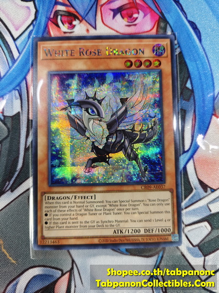 CR09-AE037 White Rose Dragon - SCR