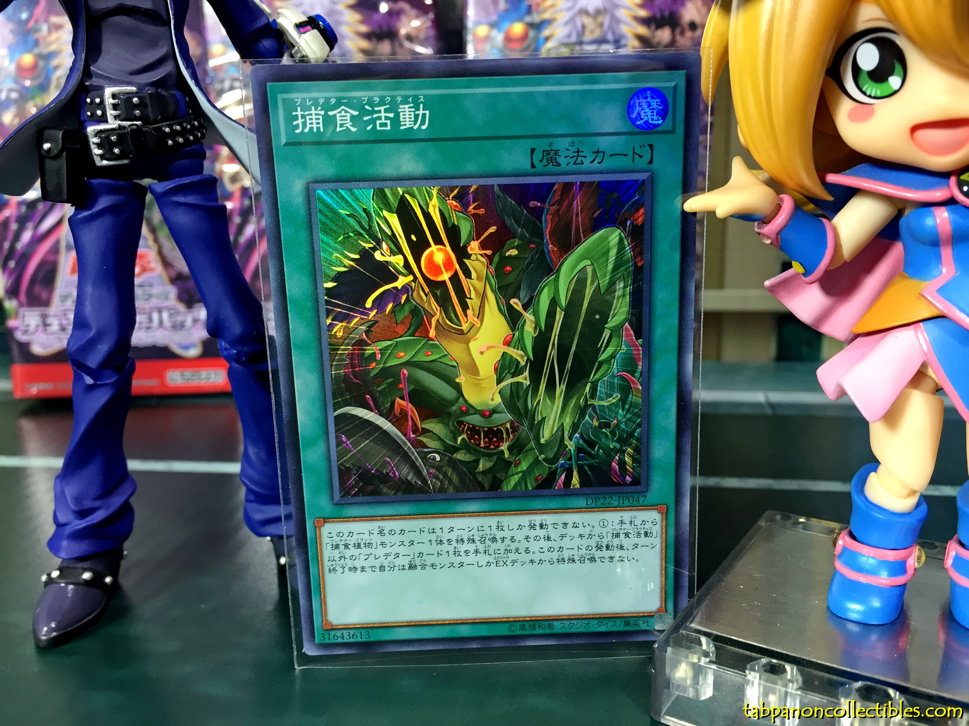 DP22-JP047 Predapractice (Super Rare)
