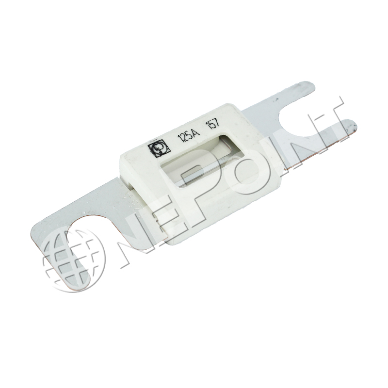 FS00125 PROTECTED FUSE 125A