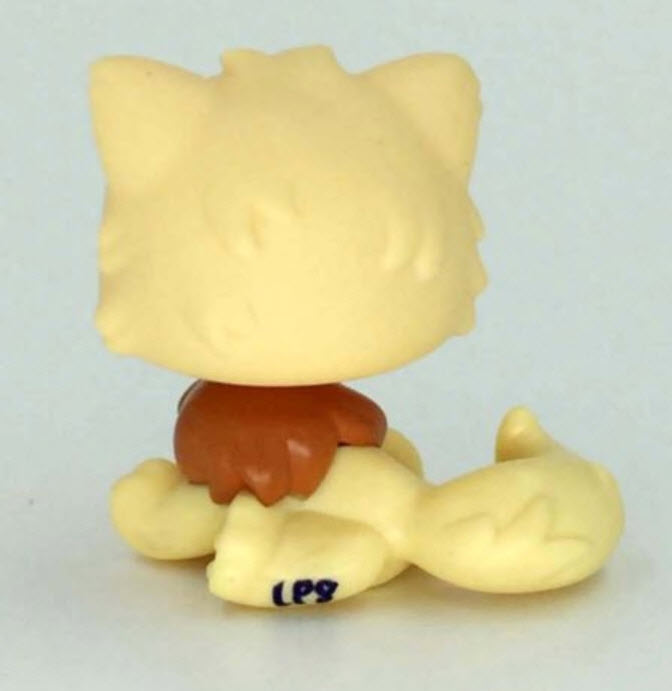 แมวเปอเซีย สีเหลืองคอน้ำตาล #463