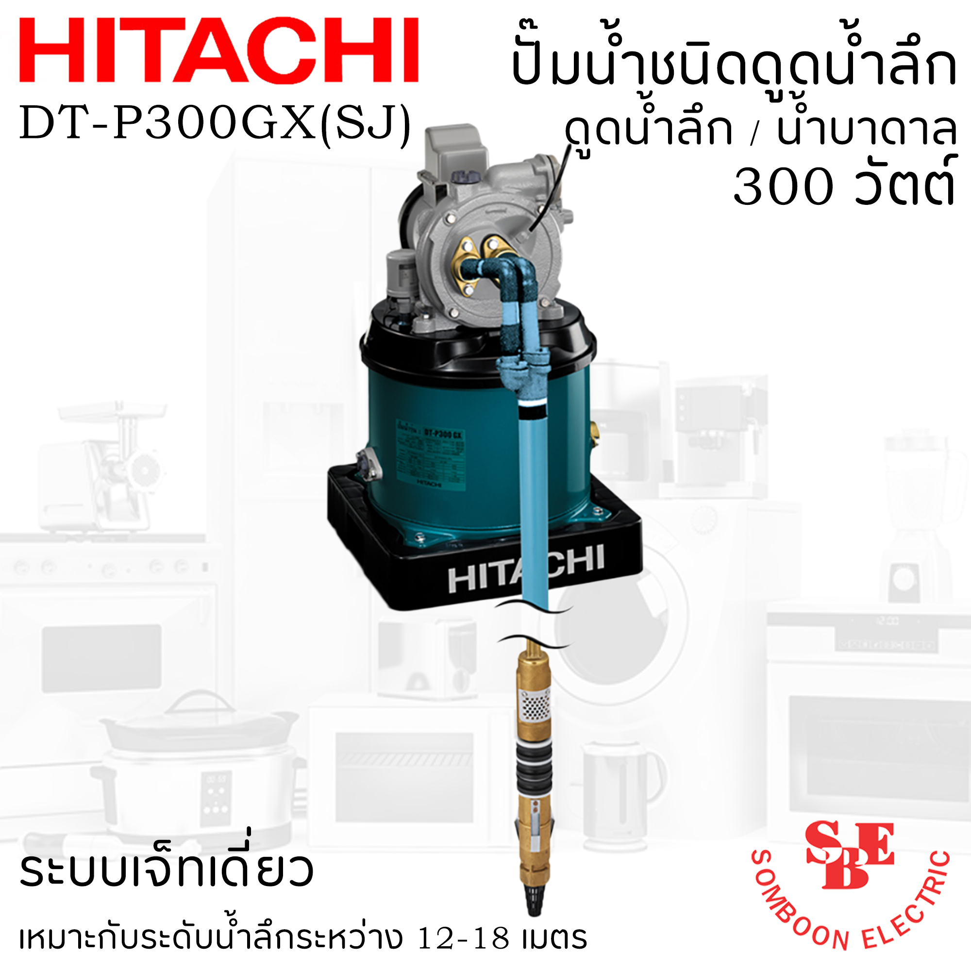 ปั๊มน้ำชนิดดูดน้ำลึก/ น้ำบาดาล Hitachi 300 วัตต์ รุ่น DT-P300GX(SJ)
