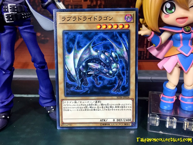 SD36-JP016 (C) "Labradorite Dragon"
