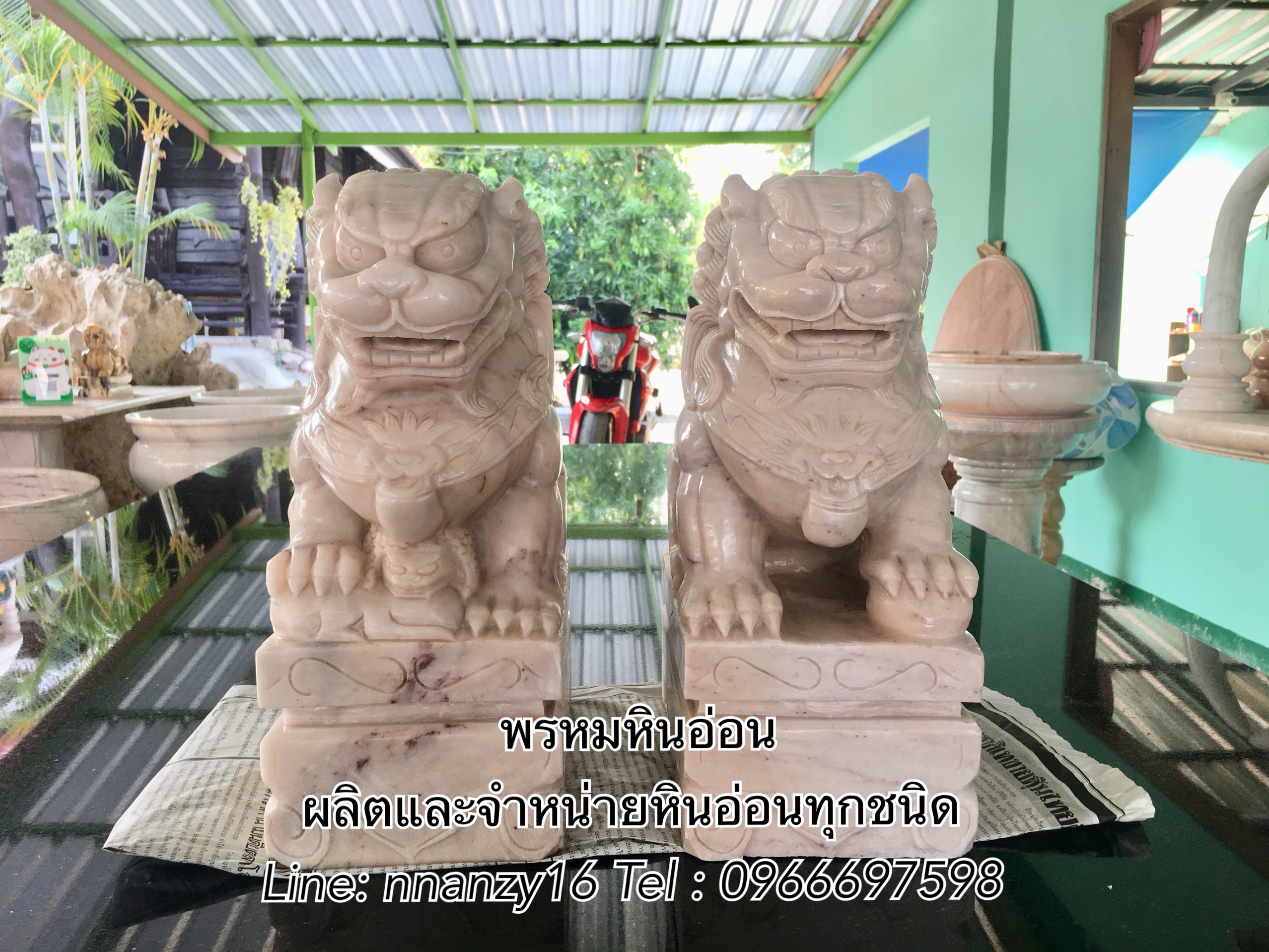 สิงห์หินอ่อน30ซม