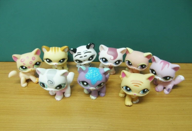 คนรักแมว Short Hair -1 (ชุด 9 ตัว)