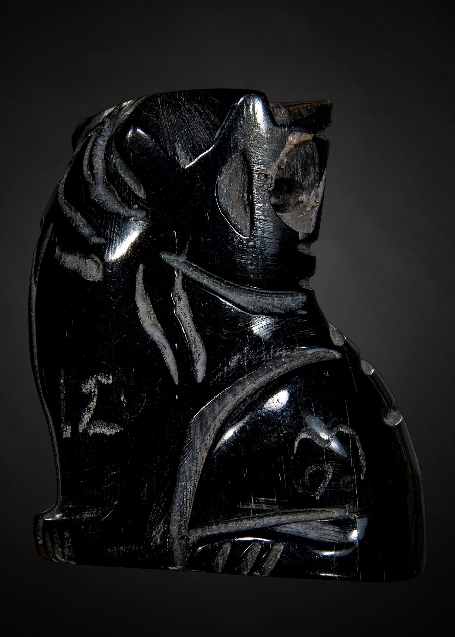 สุดยอดของดี เสือเทวดา อ้าปากรับทรัพย์ ตำหรับ หลวงปู่จันทร์ วัดซับน้อย จ.เพชรบูรณ์