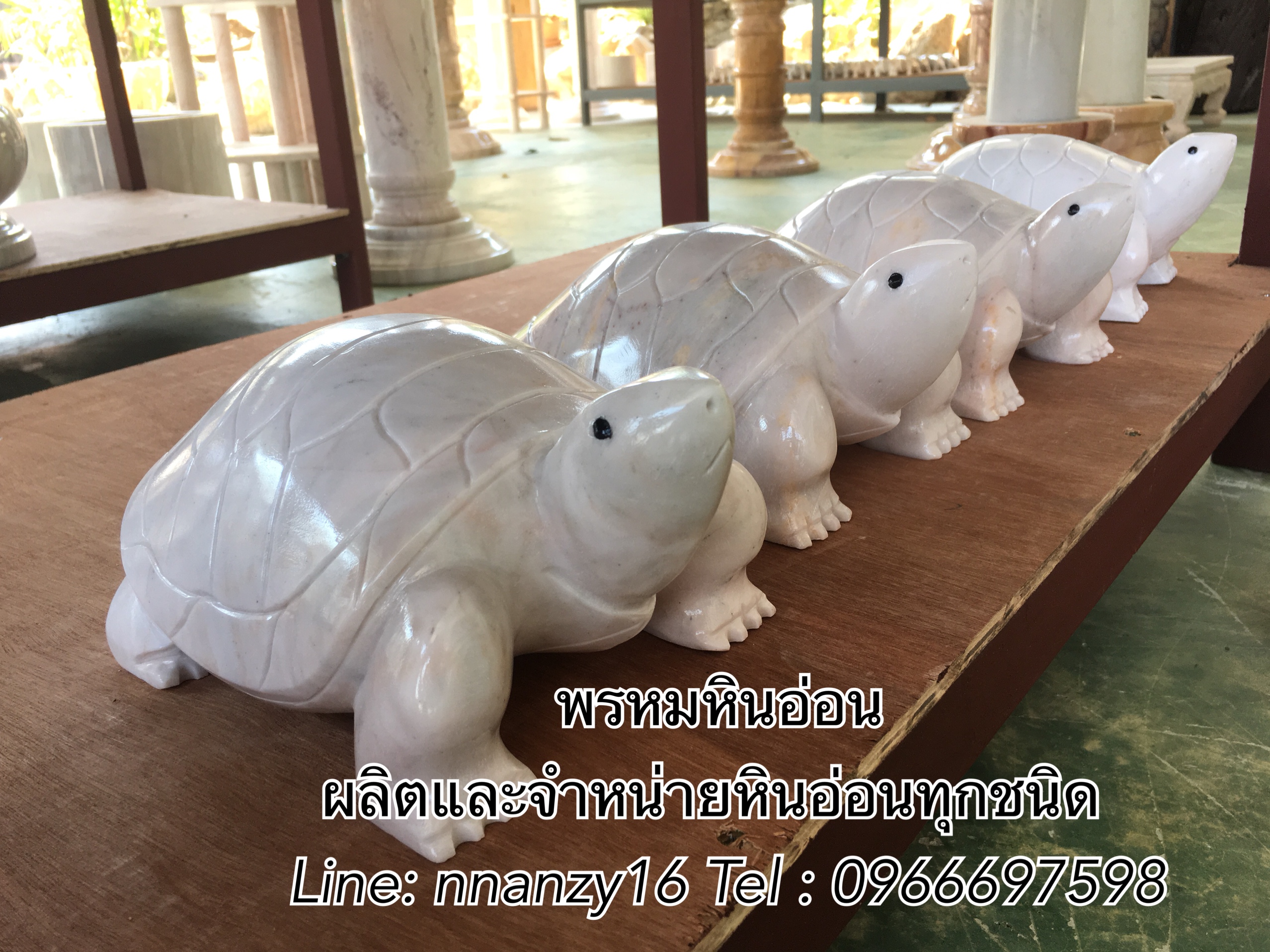 เต่าหินอ่อน