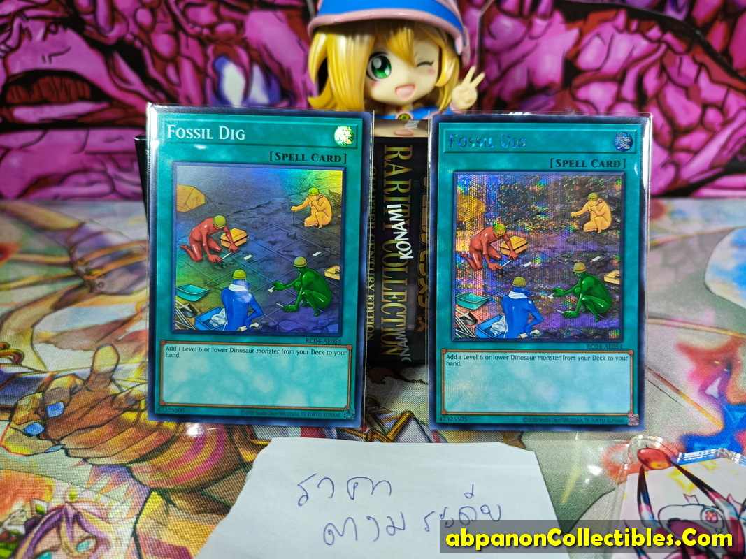 RC04-AE054 "Fossil Dig"
