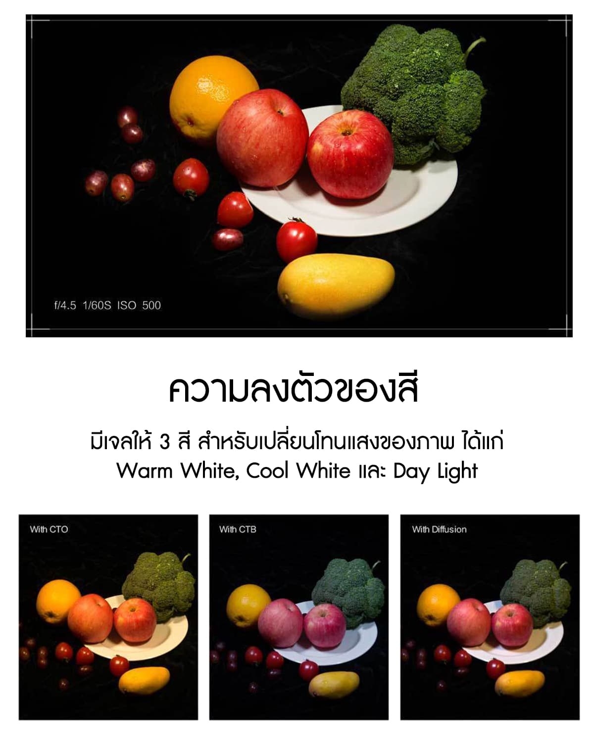 Aputure AL-M9 Amaran On Camera LED Light รับประกันศูนย์ไทย