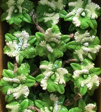 Soap สบู่สปา