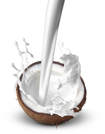 กลิ่นกะทิ ( Coconut Milk Flavor )