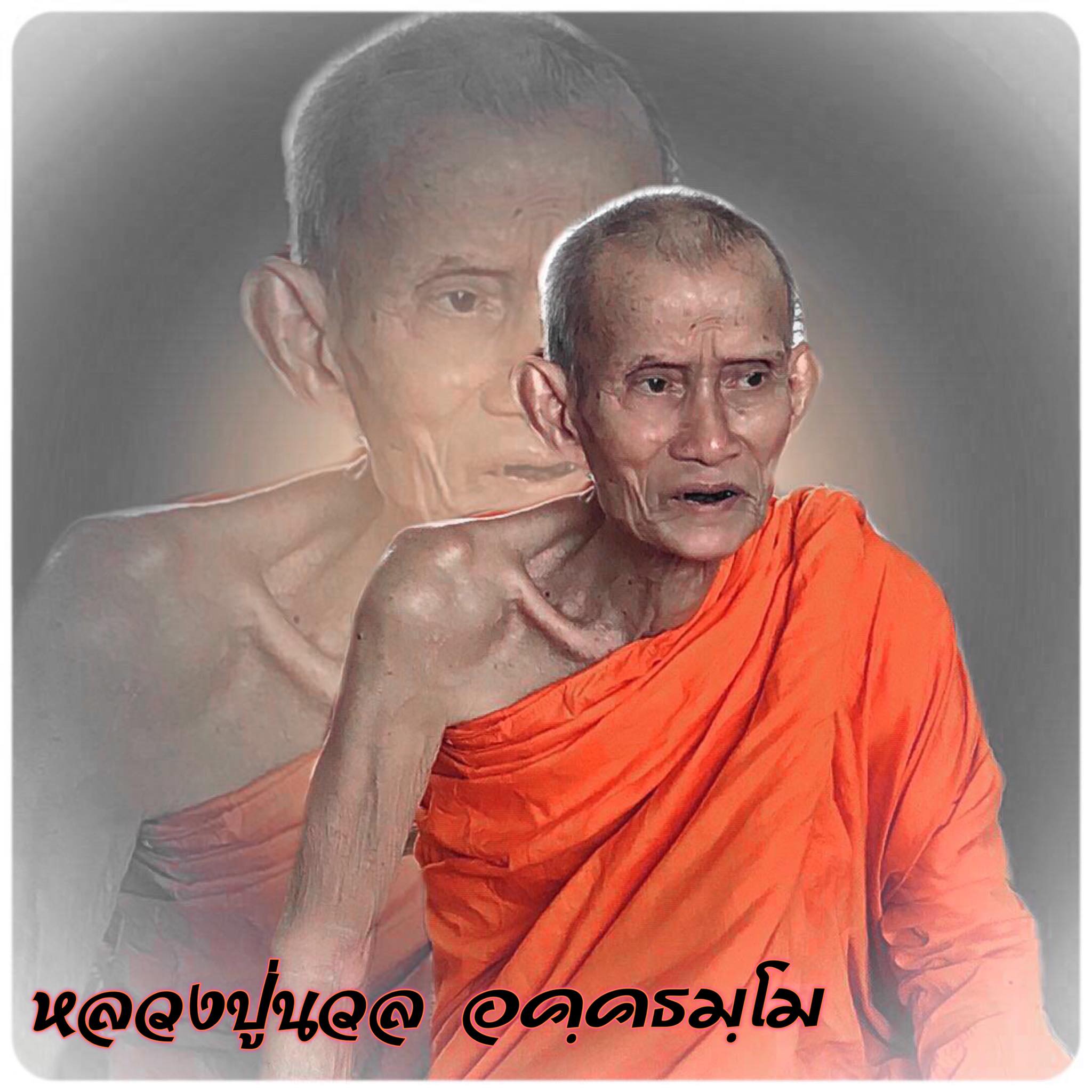 พระเหนือพรหมผงพุทธคุณ เนื้อจักรพรรดิ์ หลวงปู่นวล อคฺคธมฺโม เทวดาของชาวบ้าน