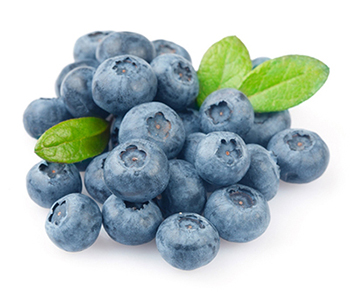 ผงกลิ่นบลูเบอรรี่ (Blueberry Flavor Powder)