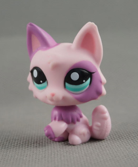 แมว Wolf Persian สีชมพู-ม่วง #2100 (หายาก)