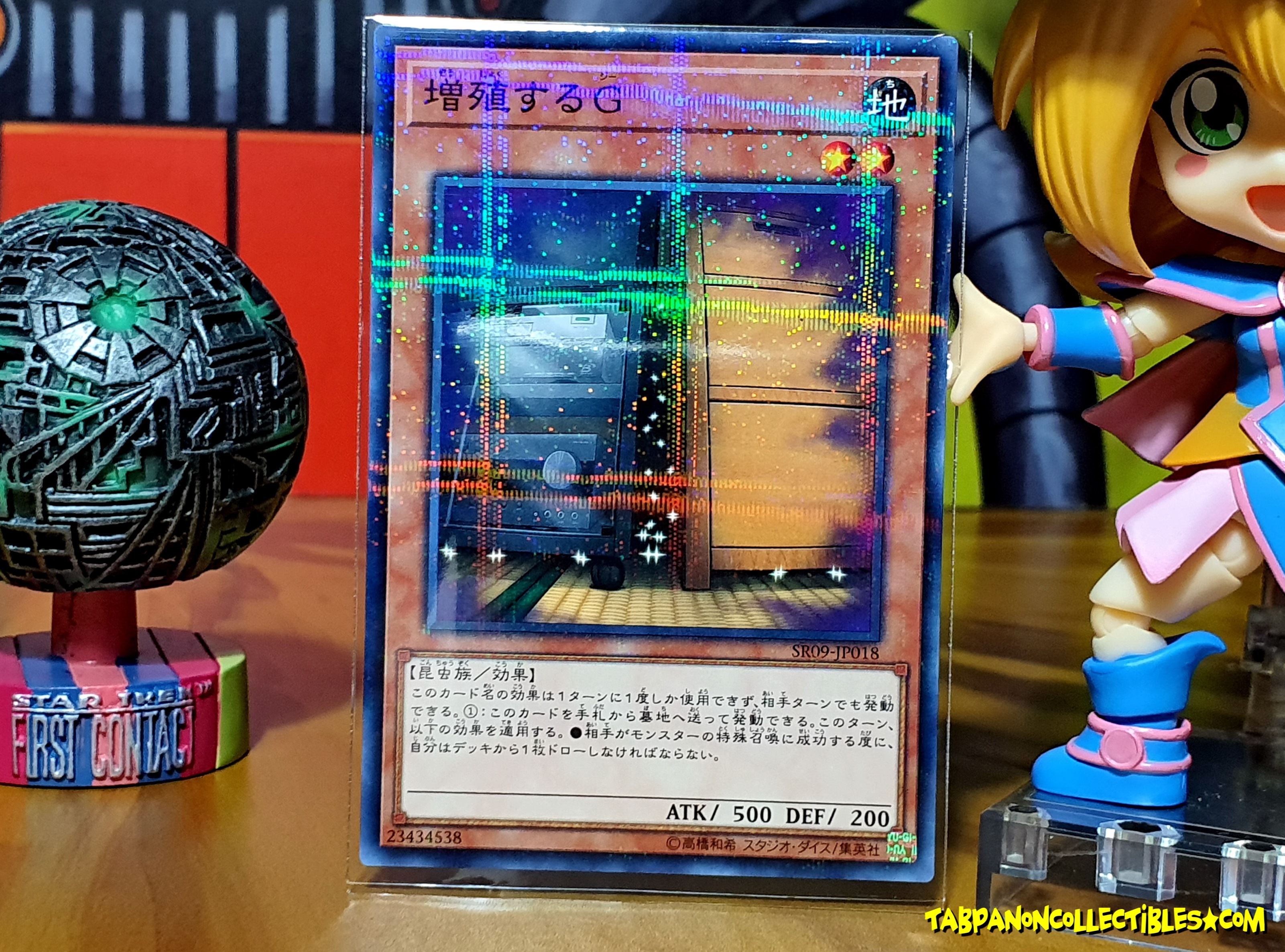 SR09-JP018 (NPR) "Maxx "C""