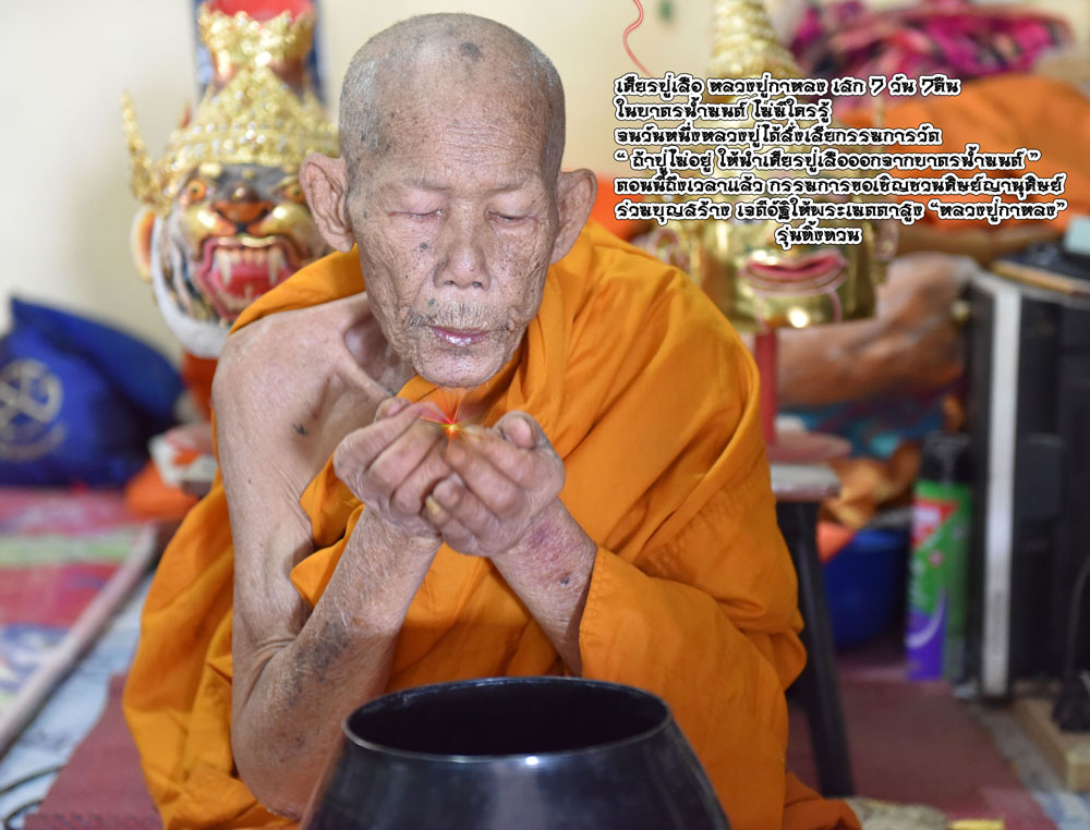 เศียรปู่เสือ หนุนดวง โชคลาภ เนื้อลายเสือ หลวงปู่กาหลง อสโภ วัดน้ำพุสามัคคี