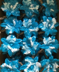 Soap สบู่สปา