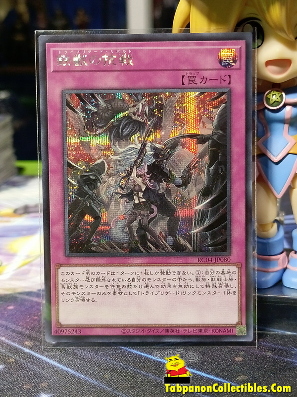 RC04-JP080 "Tri-Brigade Revolt"