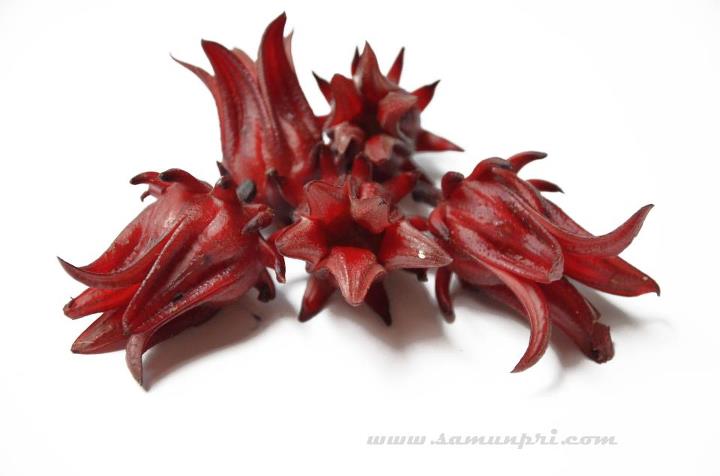 กลิ่นกระเจี๊ยบ ( Roselle Flavor )