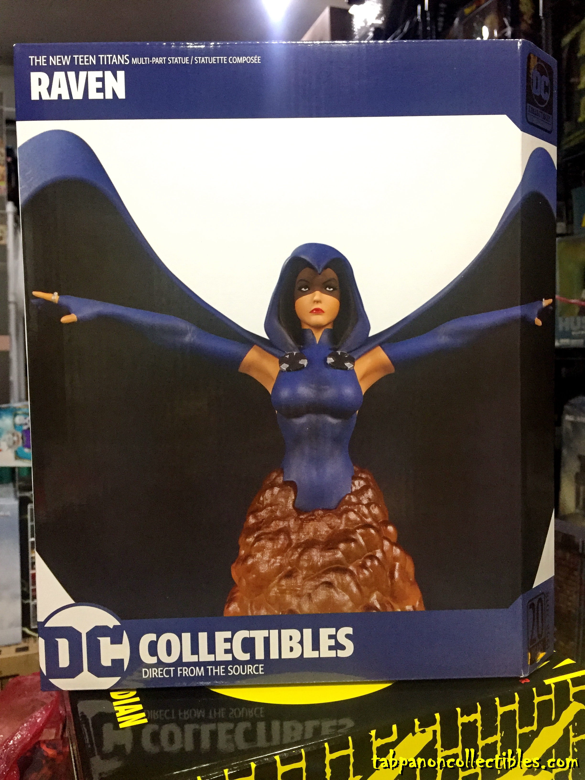 [2018.11] DC Direct The New Teen Titans Raven Multi-Part Statue