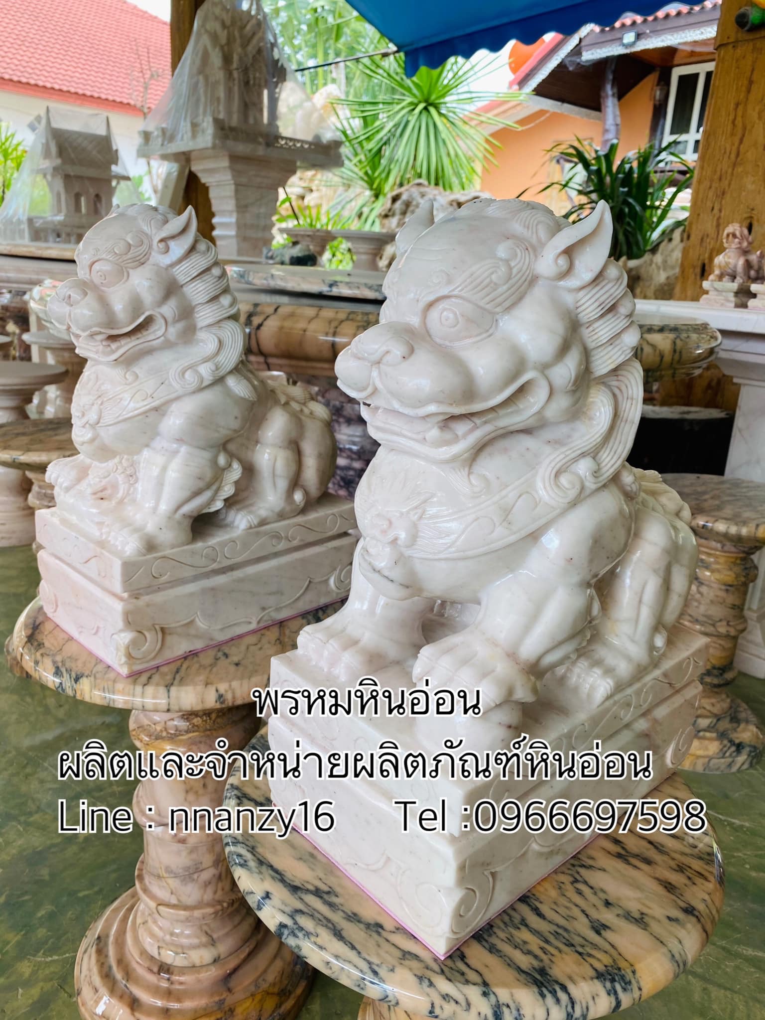 สิงห์หินอ่อน